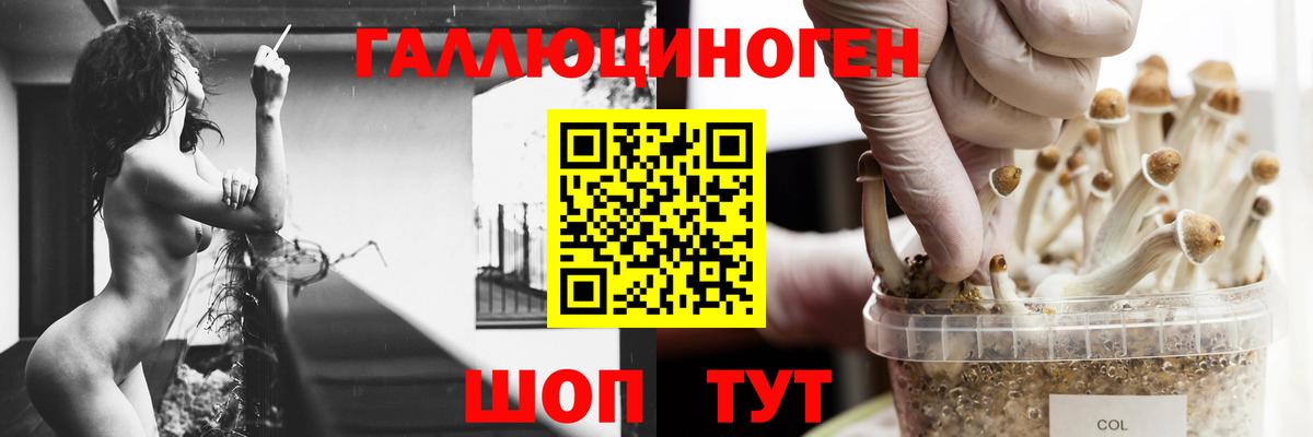 Галлюциногенные грибы Cubensis Урюпинск